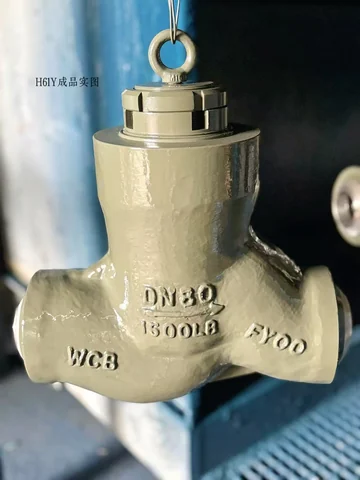 Industrial valve product photograph
