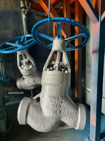 Industrial valve product photograph
