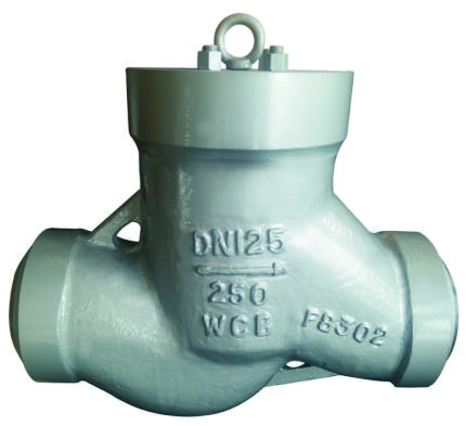 Swing check valve product image