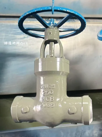 Industrial valve product photograph
