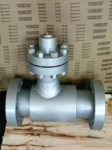 Industrial valve product photograph