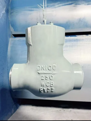 Industrial valve product photograph