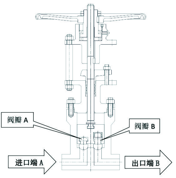 Linked dual-disc valve drawing