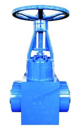 Power plant globe valve product image
