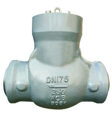 Lift check valve product image